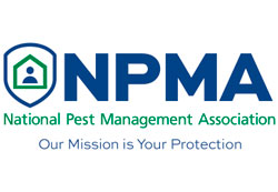 Corporativo-Mipusa-NPMA-2